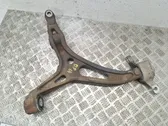 Front lower control arm/wishbone