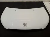 Engine bonnet/hood