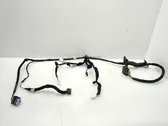 Front door wiring loom