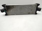 Intercooler radiator