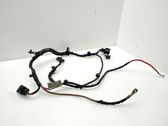 Other wiring loom