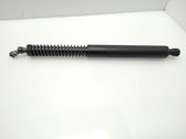 Tailgate/trunk strut/damper