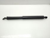 Tailgate/trunk strut/damper