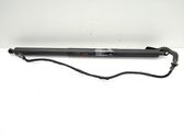 Tailgate/trunk strut/damper