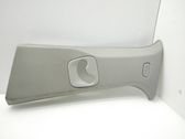 (B) pillar trim (top)