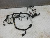 Engine installation wiring loom