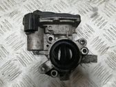 Throttle body valve