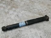 Rear shock absorber/damper
