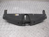Engine bonnet/hood lock trim molding