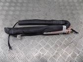 Roof airbag