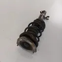 Front shock absorber with coil spring