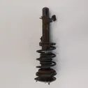 Front shock absorber with coil spring