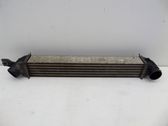 Intercooler radiator