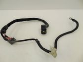 Engine installation wiring loom