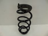 Rear coil spring