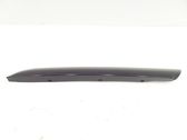 Windshield trim