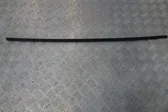 Windshield trim