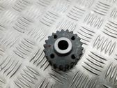 Crankshaft position gear