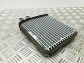 Heater blower radiator