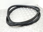 Rear door rubber seal (on body)