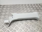 (C) pillar trim