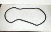 Trunk rubber seal (body)