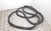 Trunk rubber seal (body)