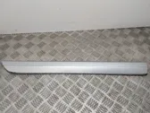 Rear door trim (molding)