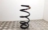 Front coil spring