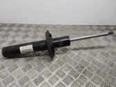 Front shock absorber/damper