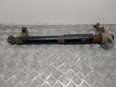 Rear shock absorber/damper