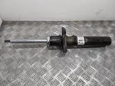 Front shock absorber/damper