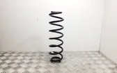 Rear coil spring