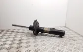 Front shock absorber/damper