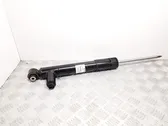 Rear shock absorber/damper