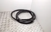 Trunk rubber seal (body)