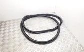 Front door rubber seal