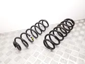 Rear coil spring