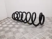 Rear coil spring