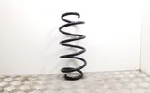 Front coil spring