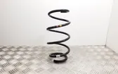 Front coil spring