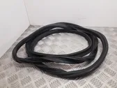 Trunk rubber seal (body)