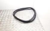 Front door rubber seal