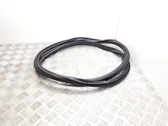 Rear door rubber seal (on body)