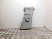 Verkleidung oben B-Säule