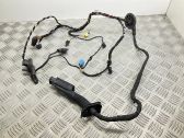 Front door wiring loom