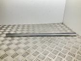 Rear side glass trim