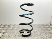 Front coil spring