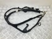 Wires (starter motor)