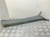 (A) pillar trim